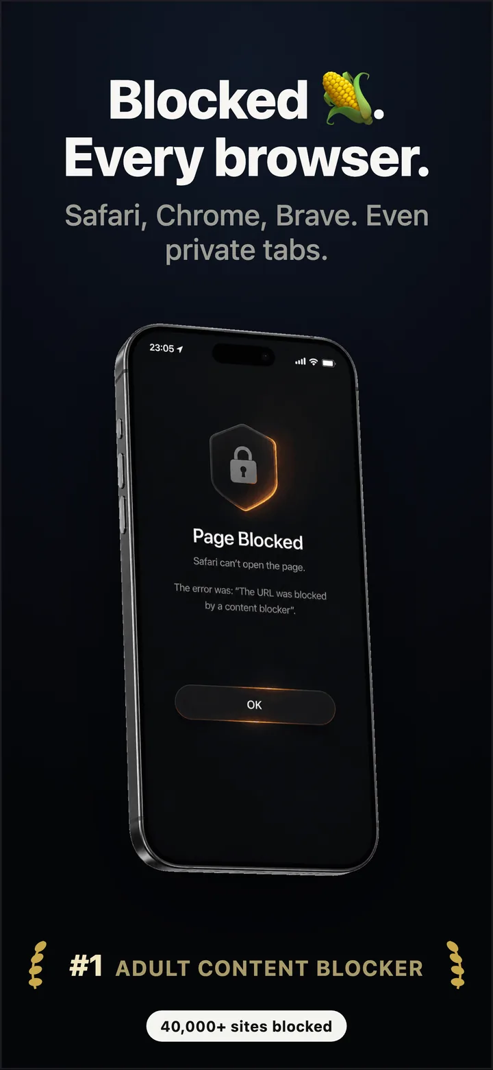 Safari showing Page Blocked, the URL was blocked by a content blocker